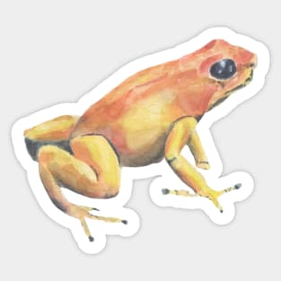 Tropical yellow frog Sticker